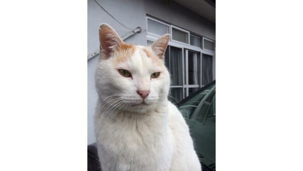 名倉堂大下接骨院